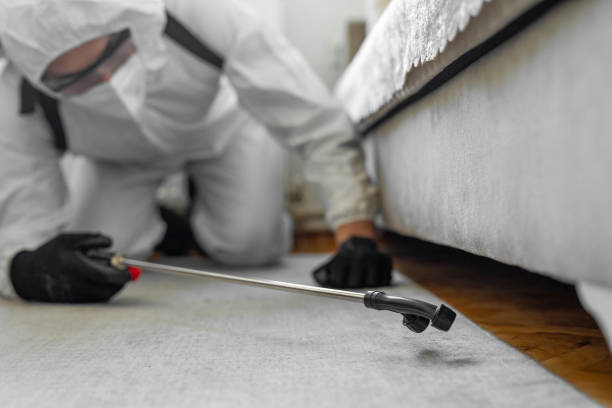 Professional Cockroach Control technician working in Yucaipa, CA
